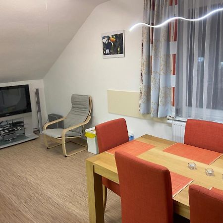 Apartman 101 Horní Maršov المظهر الخارجي الصورة